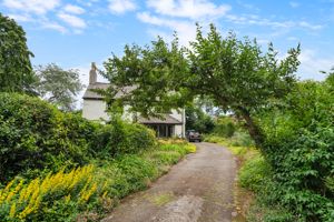 Photo 22- click for photo gallery